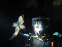 Narcosis Found
