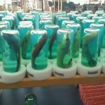 Stop the sale of Shark in a bottle