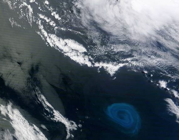 Giant eddy spotted by Terra Satellite. (Image: NASA Earth Observatory)