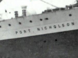 Port Nicholson