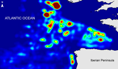 International long-line fisheries use the same regions of the ocean as blue sharks.