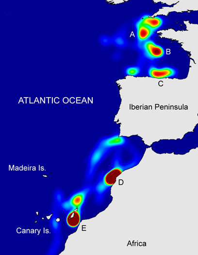 Blue sharks spend their time in regions shown in red.