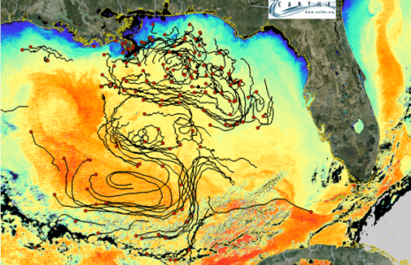 Drifters deployed into the Gulf of Mexico sent location information back to scientists through a GPS satellite. Some of the 5.7 million data points about the drifters locations are seen in this map of the Gulf.