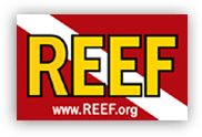 REEF Webinars / Fishinars