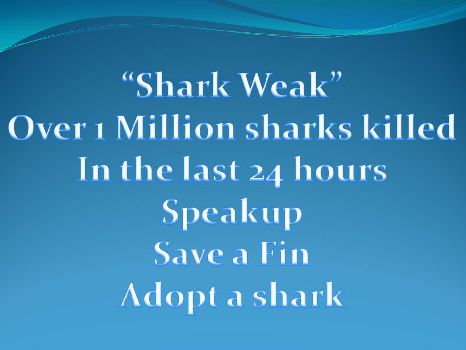 Shark Weak